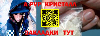 стафф Нальчик