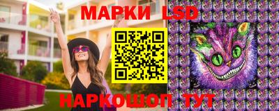 стафф Нальчик