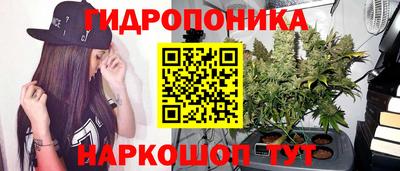 стафф Нальчик
