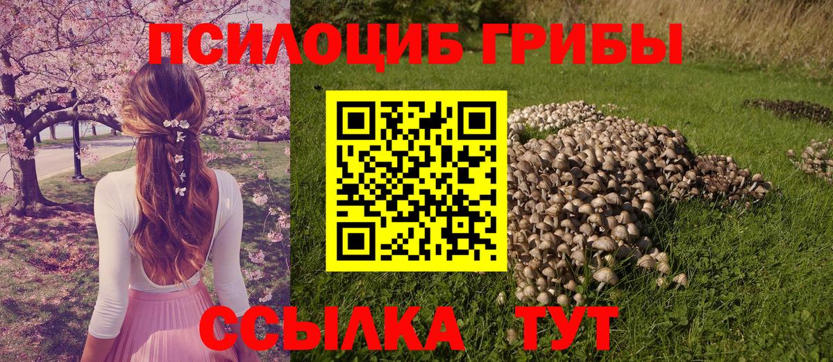 Псилоцибиновые грибы прущие грибы Саранск