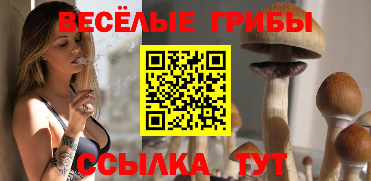 Саранск  Галлюциногенные грибы Cubensis  купить наркоту  Вход с VPN 