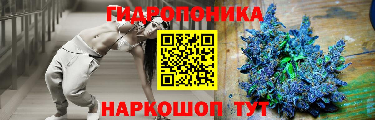 Шишки марихуана семена Саранск